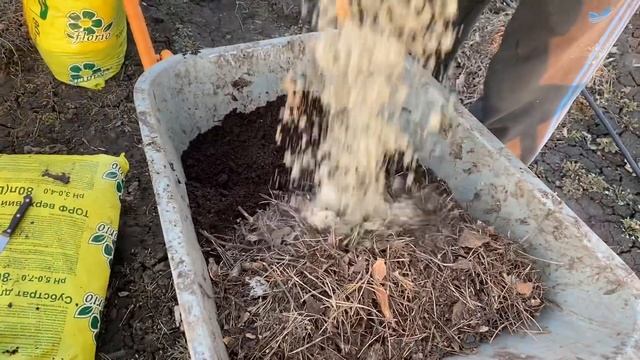 Подготовка контейнеров для голубики. Субстрат для голубики. Март 2021 смотреть онлайн