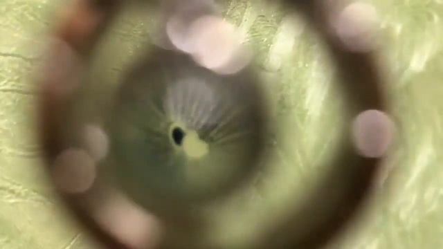 Купила кулон в виде сердца - вот что пришло! смотреть онлайн