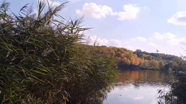 Лодка УФИМКА 260. Мини обзор и тест на воде. Пробую ловить хищника. смотреть онлайн