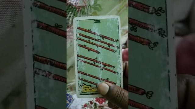 ❤️Live Tarot?Pick A Card?10M Tarot |Tarot Card Reading?? смотреть онлайн