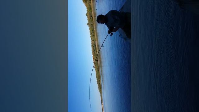 Щука на р. Обь смотреть онлайн