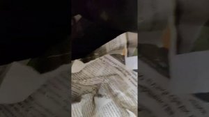 Pajero4. Вода на водительском коврике