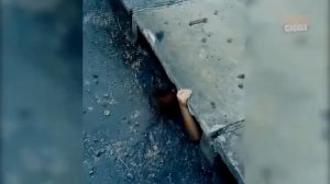 Оно смешная озвучка от гоблина. Все части