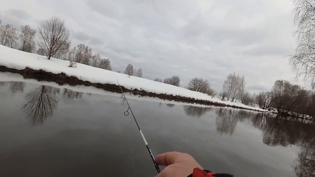 Наноджиг в начале марта. Бель просыпается! смотреть онлайн