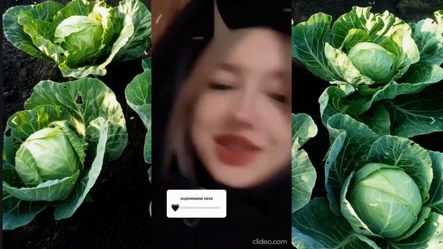 Святки - Колядки. смотреть онлайн