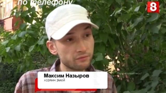 Новосибирск.НОВОСТЬ ДНЯ.Змеи нашлись-26.06.2015 смотреть онлайн