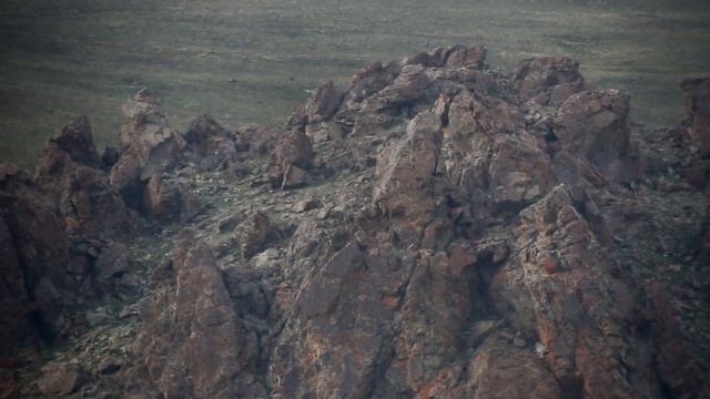 Big 5 and the Snow Leopard in Mongolia смотреть онлайн