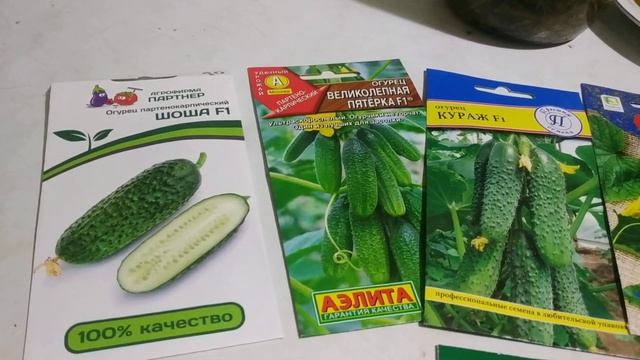 Лучшие сорта и гибриды огурцов для теплиц и открытого грунта. смотреть онлайн