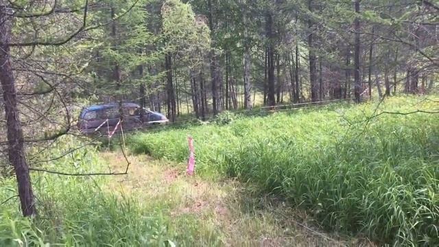 Электропастух Статик 3М Уфа. 89874716161 смотреть онлайн