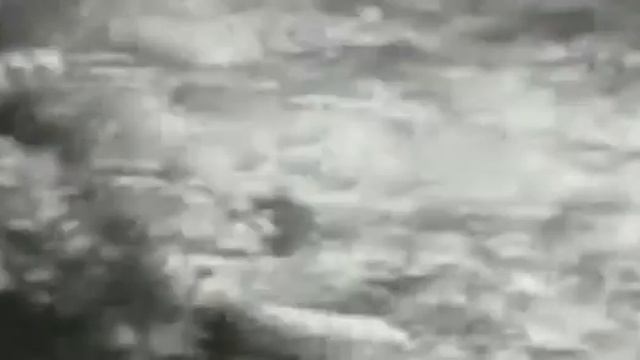 Giant Anaconda vs Felidae Python vs Lion Anaconda vs Cat Anaconda vs Jaguar Python vs Tiger смотреть онлайн