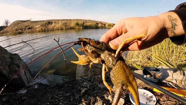 Нападение дикого КАБАНА на весенней рыбалке смотреть онлайн