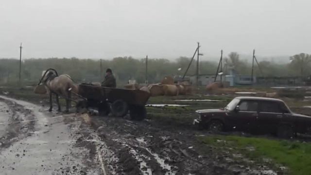 Воронеж нас не догонеш.... смотреть онлайн