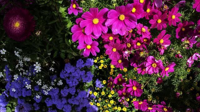 Слушать хорошую песню радио дача в отличном качестве