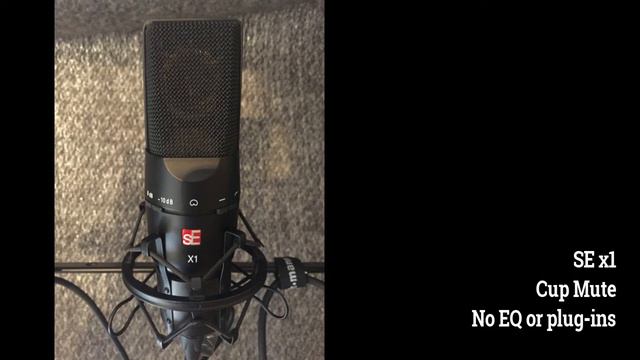 TRUMPET Vs 3 Mics (AKG P220, SE Electronics X1, Audio Technica AT 2020)