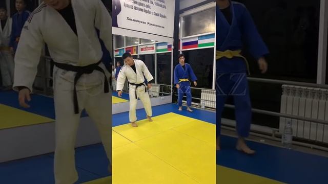 Judo Tani Otoshi (задняя подножка на пятке с падением) ORTUS.KZ смотреть онлайн