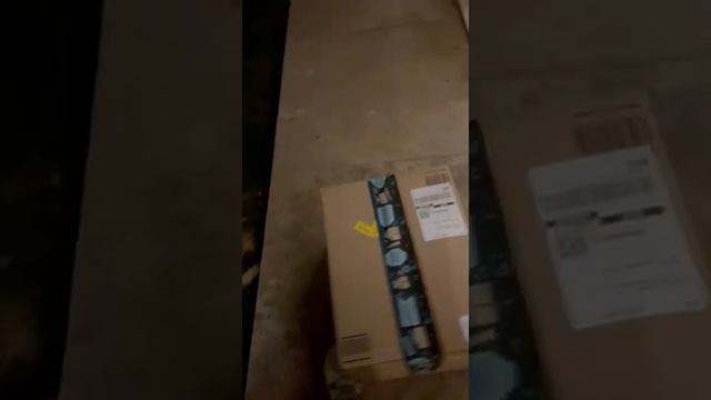 Привезли супы, кошачьи. доставка ногами.