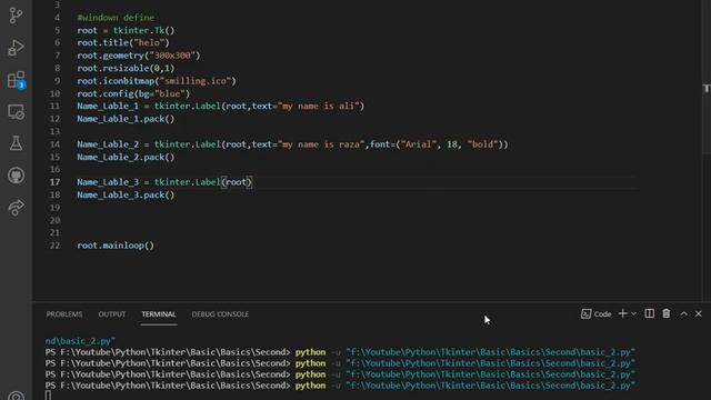 Lecture 2 (Tkinter Label and Pack System) смотреть онлайн