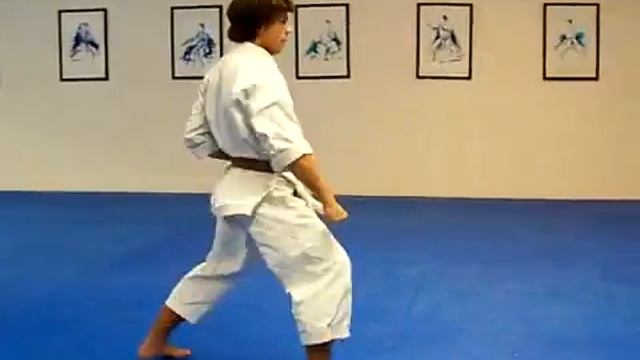 Taikyoku Shodan Shotokan Karate kata 1 смотреть онлайн