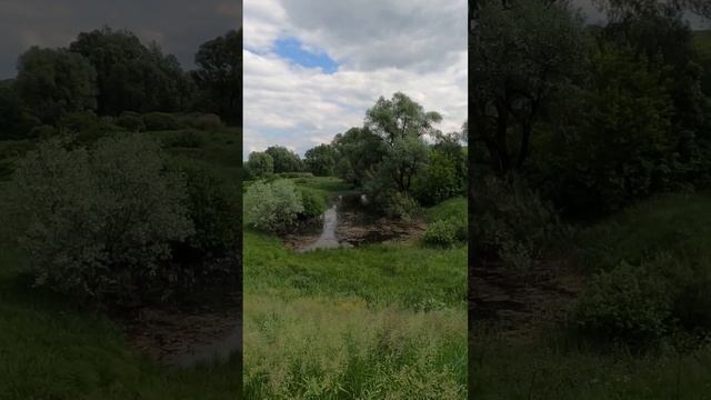 Пруд в Никольском... смотреть онлайн
