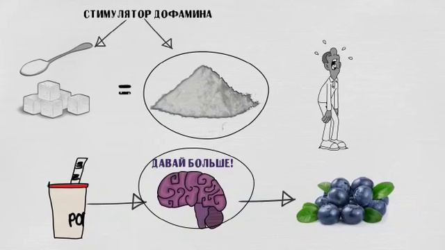 САХАР ЭТО ЗЛО ДЛЯ ОРГАНИЗМА ЧЕЛОВЕКА смотреть онлайн