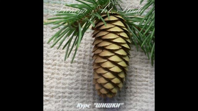 Курс "ШИШКИ" смотреть онлайн