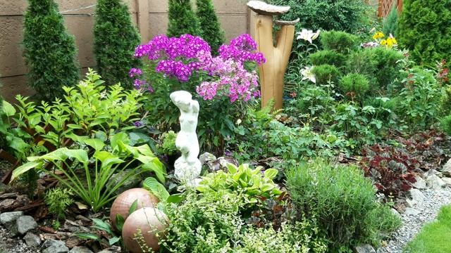 Розарий.Красивый.Декоративный#Сад СветаСветланы #Дача# смотреть онлайн