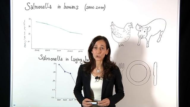 What is Salmonella? How can we control and reduce it? смотреть онлайн
