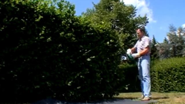 Hedge cutters.mpg смотреть онлайн