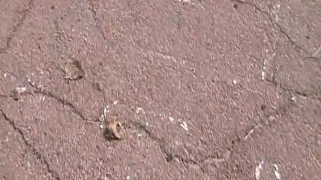 Байконур 1-ая,2-ая площадка и ИП-1 24 апр 2013года пуск смотреть онлайн