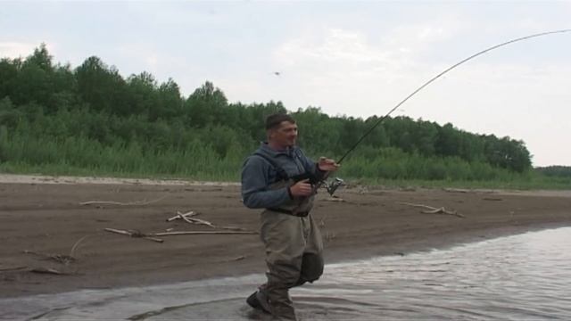 Понты пошли. Понты задавили. Погубили понты. смотреть онлайн