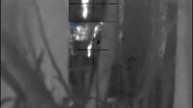 Работа тепловизора Пульсар.