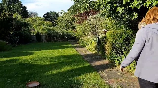 ОЛИНЫ РОЗЫ НА ДАЧЕ, ЗА ТРИ ГОДА... смотреть онлайн