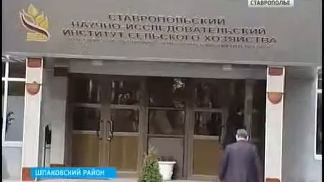 Картофель в пробирках и степи без сорняков