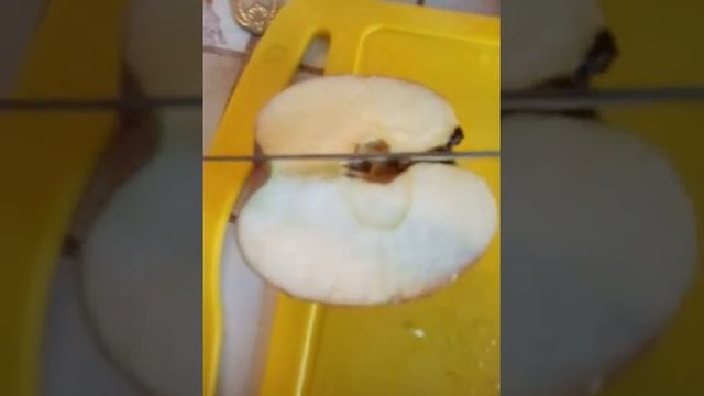 Как приготовить фруктовый салат смотреть онлайн
