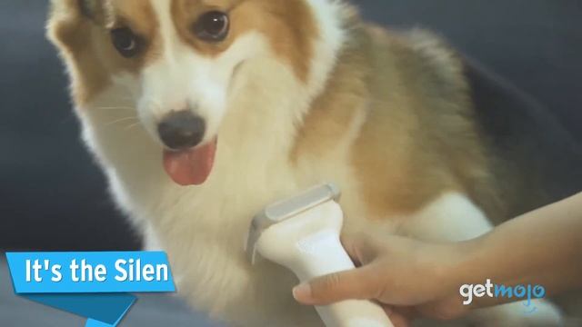 5 Things to Know About the Neabot P1 Pro Pet Grooming Kit смотреть онлайн