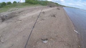 ЛОВЛЯ ВЕРХОГЛЯДА НА СПИННИНГ.РЫБАЛКА НА АМУРЕ .МОЙ ТРОФЕЙ.