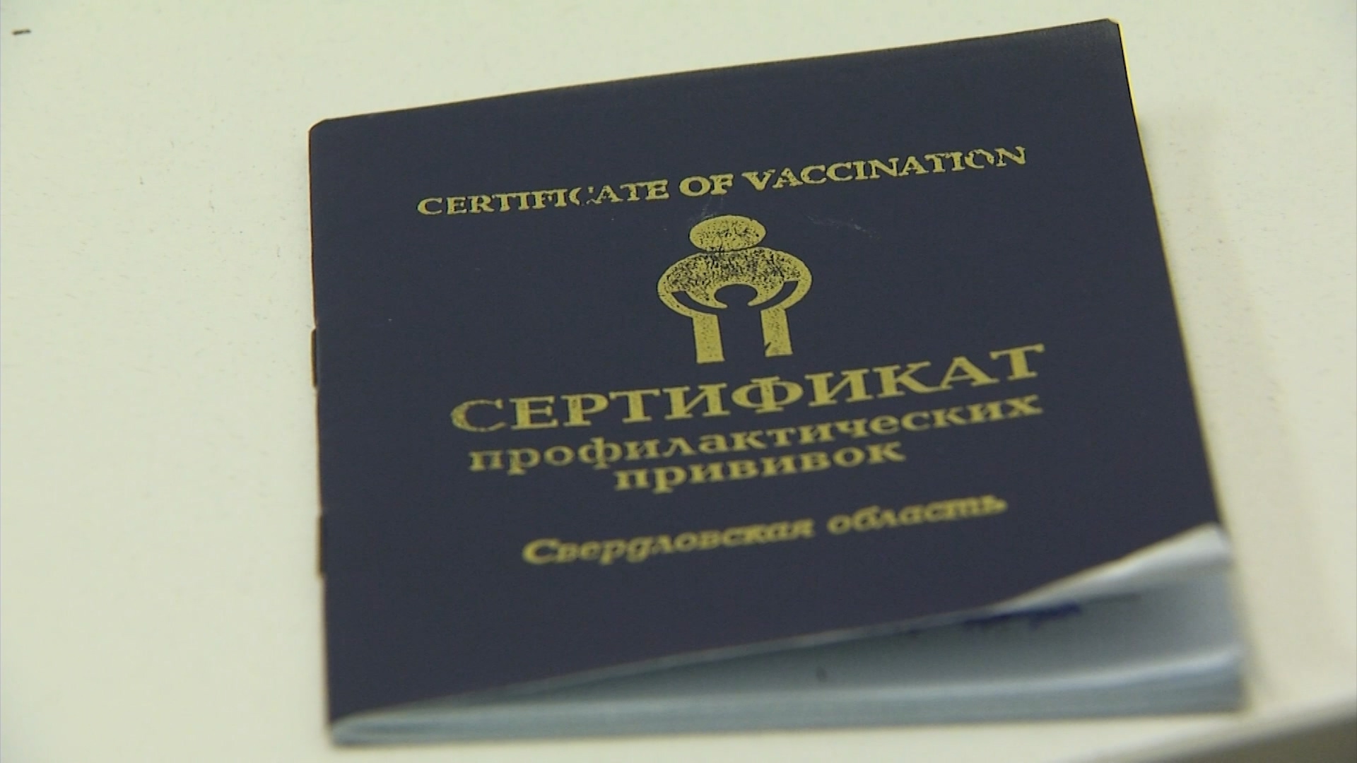 Серовское телевидение