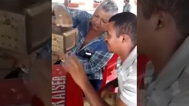 Видео,приколы,юмор,смех смотреть онлайн