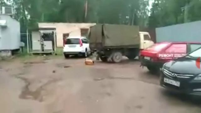 Собаку контузило смотреть онлайн
