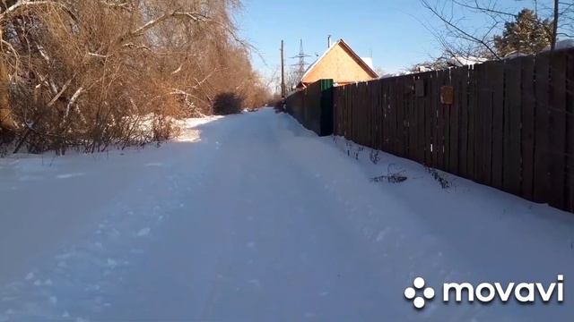 МОРОЗЫ / КОРМЛЮ КОШЕК И ПТИЦ/. смотреть онлайн