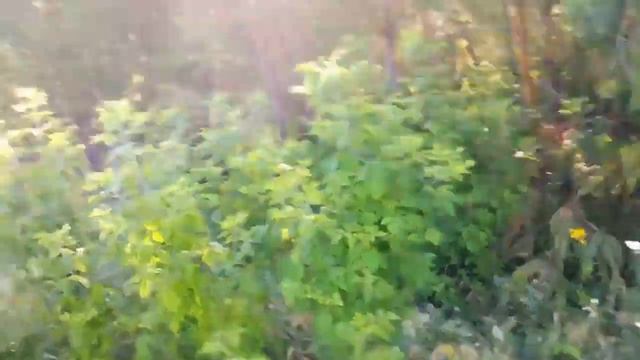 Аномальное место в районе города Сызрань. смотреть онлайн