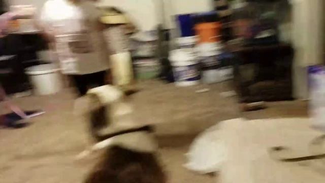 The dog trainer смотреть онлайн