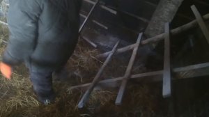 В КУРЯТНИКЕ ВСЕГДА СУХО. УТКИ НЕ РАСПЛЁСКИВАЮТ ВОДУ