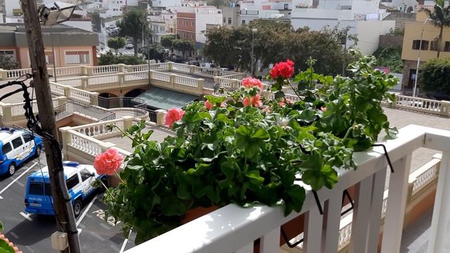 Калима "душит" Канарские острова смотреть онлайн