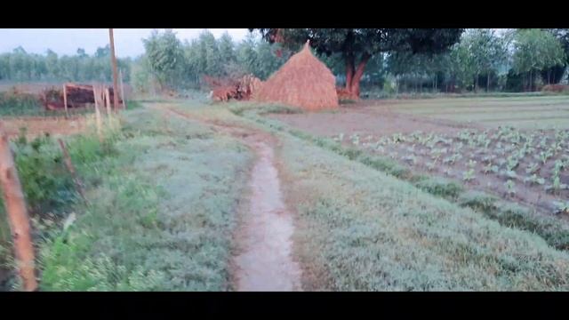 Vlog 02 /30 days vlogs target 27/10/2021 смотреть онлайн