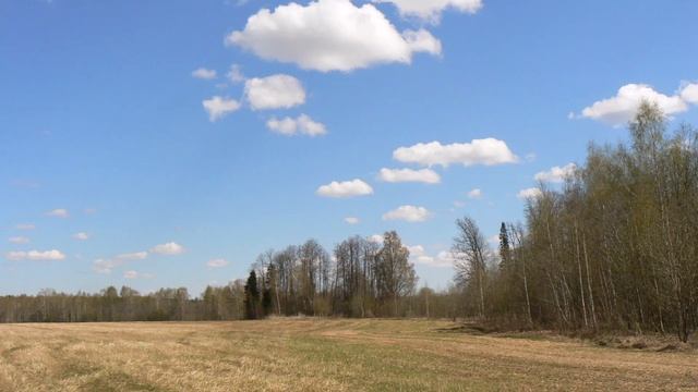 5 Загородная прогулка со чтением стихов 5 2015 2016 годы 114 папка смотреть онлайн