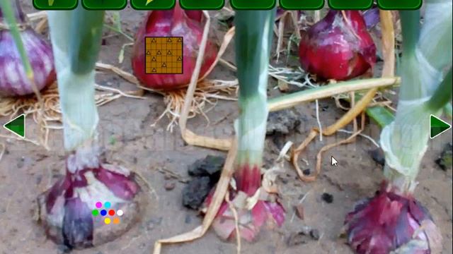 WOW Onion Farm Land Escape Walkthrough [WOWEscape] смотреть онлайн