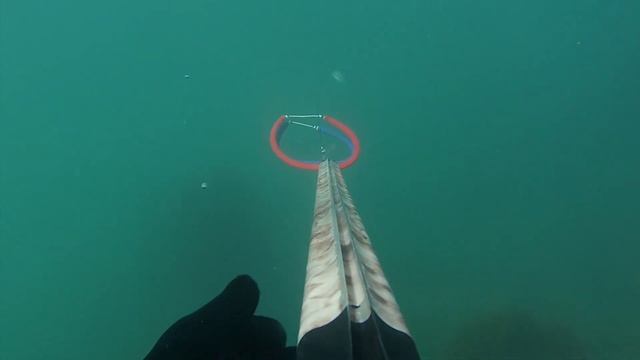 Карась морской и кефаль... 18.04.2014г. смотреть онлайн