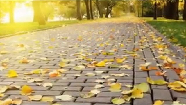 Королева осени.