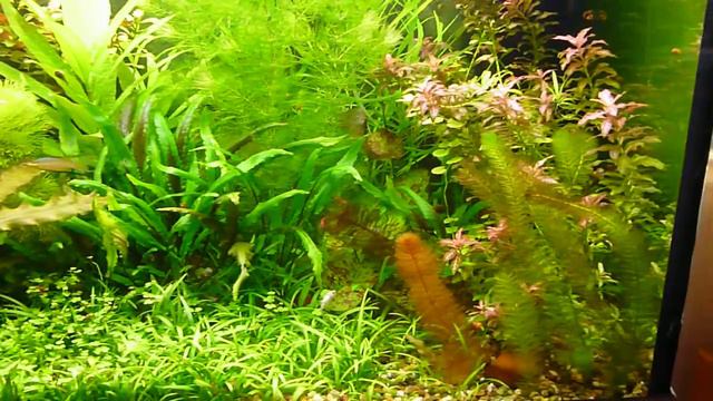 сегодня. смотреть онлайн